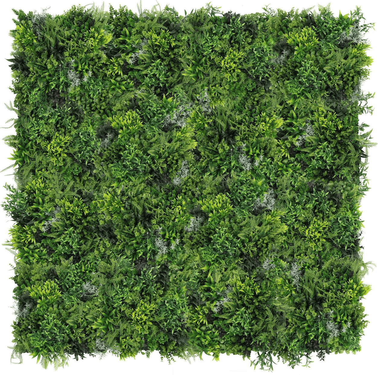 GymNest Naturewall
